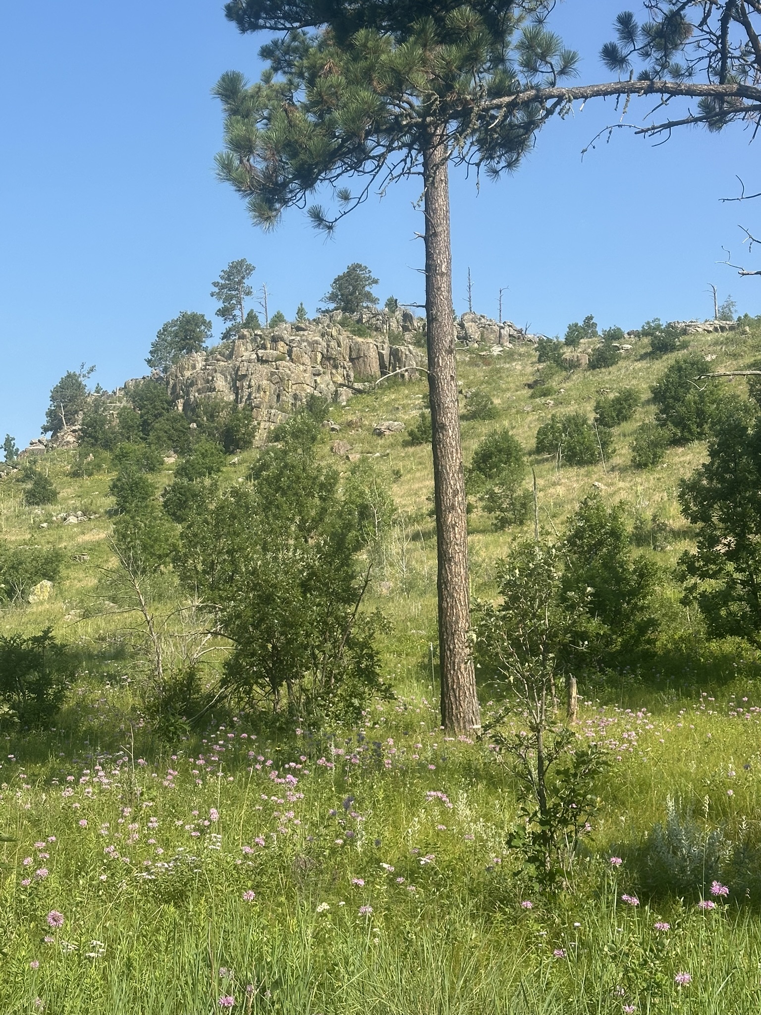 South Dakota - Image 67